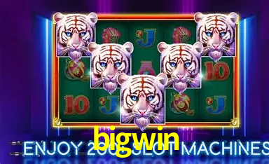 bigwin: A Experiência de Casino com Jogos de Mesa ao Vivo