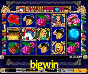 A Popularidade dos Caça-Níqueis no bigwin